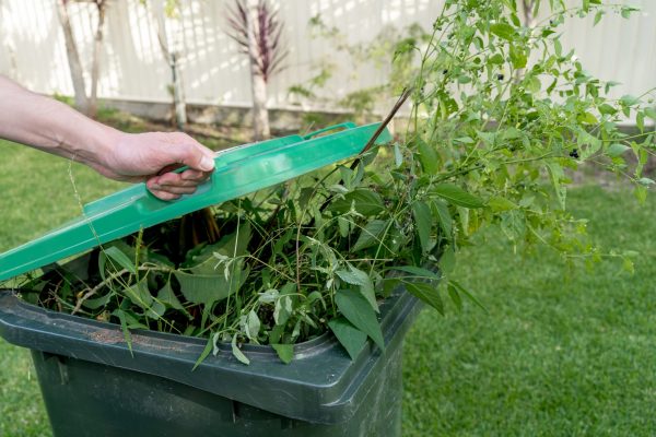 hand-closing-a-green-rubbish-garbage-bin-with-gre-2025-01-07-16-03-56-utc